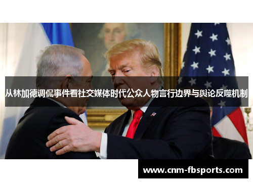 从林加德调侃事件看社交媒体时代公众人物言行边界与舆论反噬机制