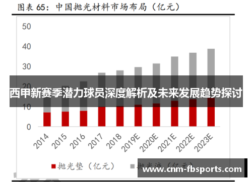 西甲新赛季潜力球员深度解析及未来发展趋势探讨