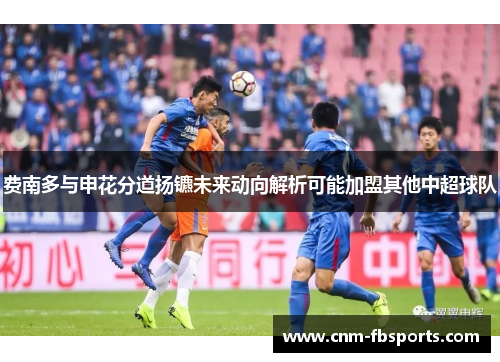 费南多与申花分道扬镳未来动向解析可能加盟其他中超球队