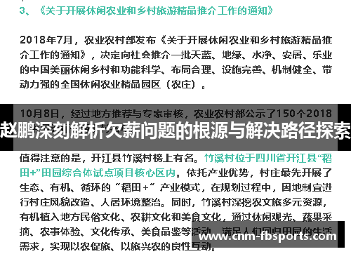 赵鹏深刻解析欠薪问题的根源与解决路径探索